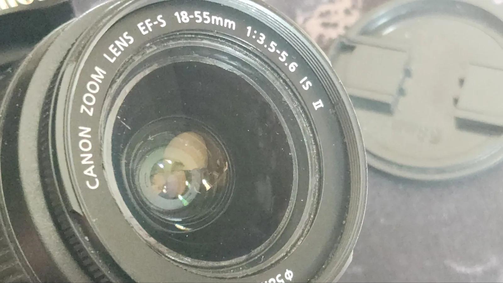 Зеркальный фотоаппарат Canon EOS 60D с объективом