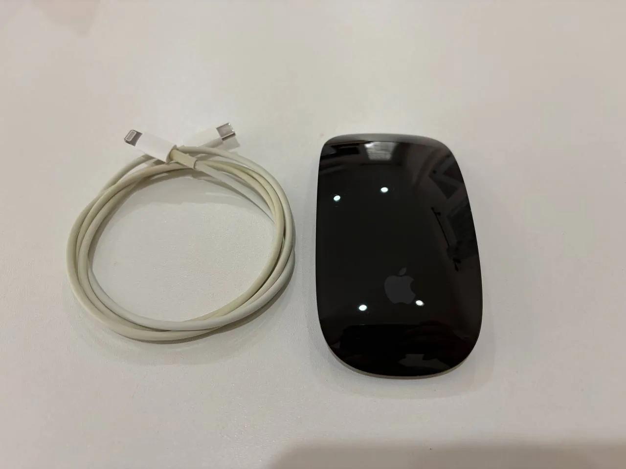 Apple Magic Mouse, Black Multi-Touch