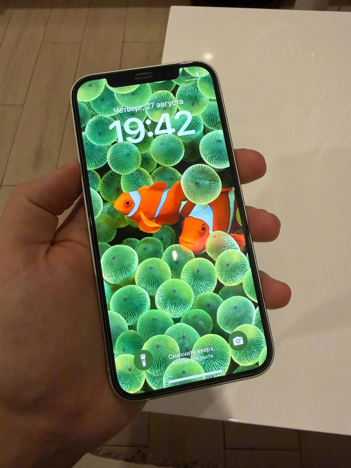 IPhone 12 128 ГБ салатовый