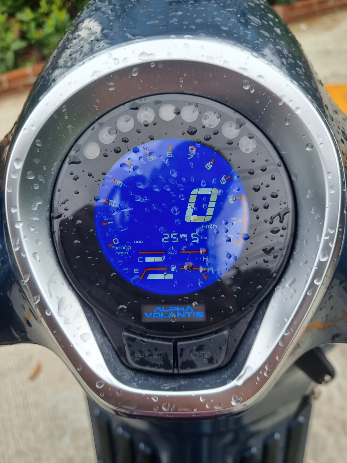 Мотоцикл Alpha Volantis Horizon 300cc 7