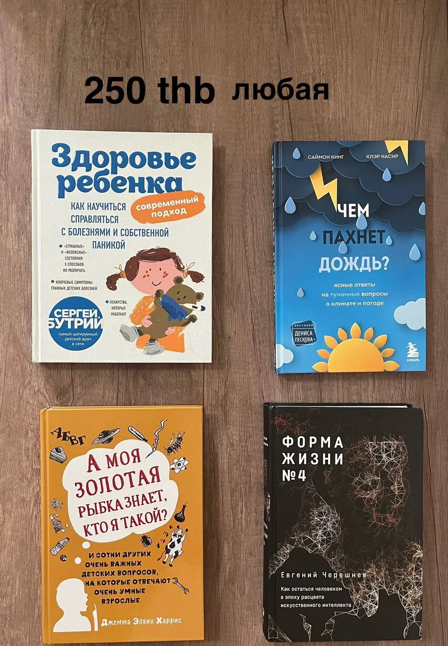 Миниатюра 4