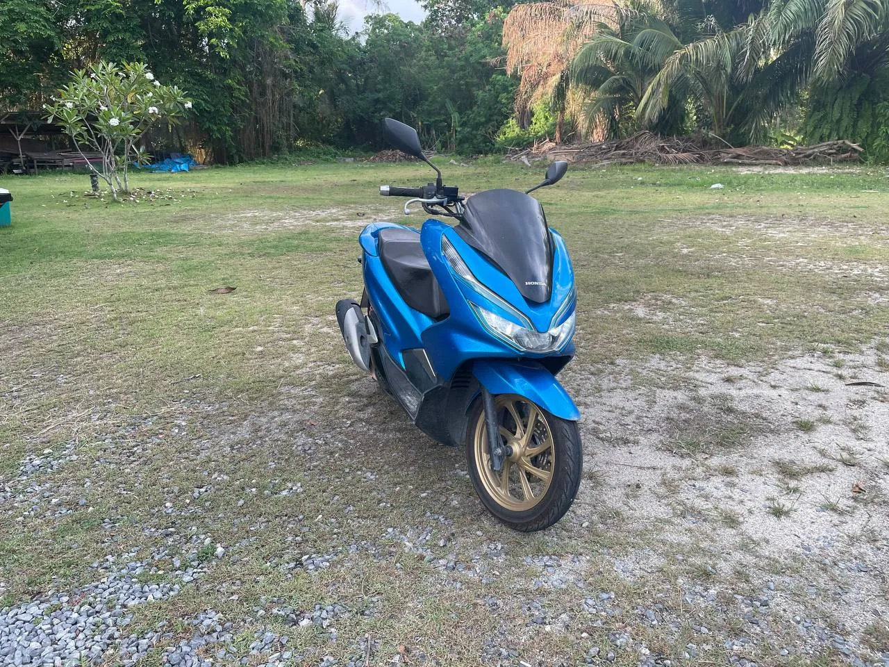 Аренда скутера PCX на Пангане 2
