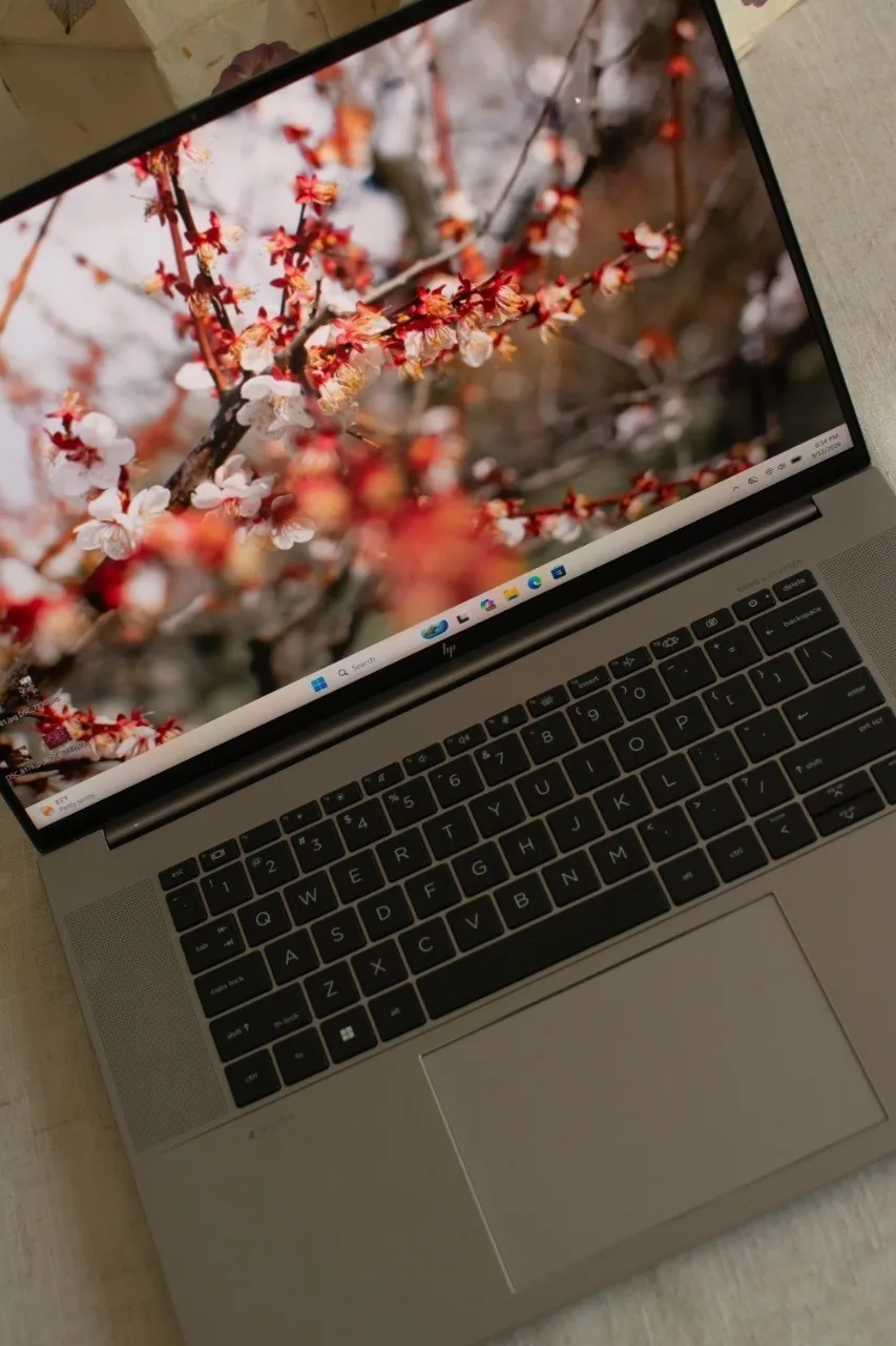 Ноутбук HP ZBook Studio G10 с RTX 3000 2