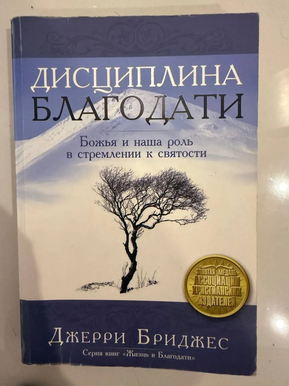 Миниатюра 6