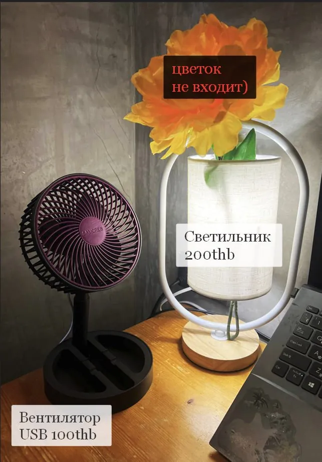 Миниатюра 4